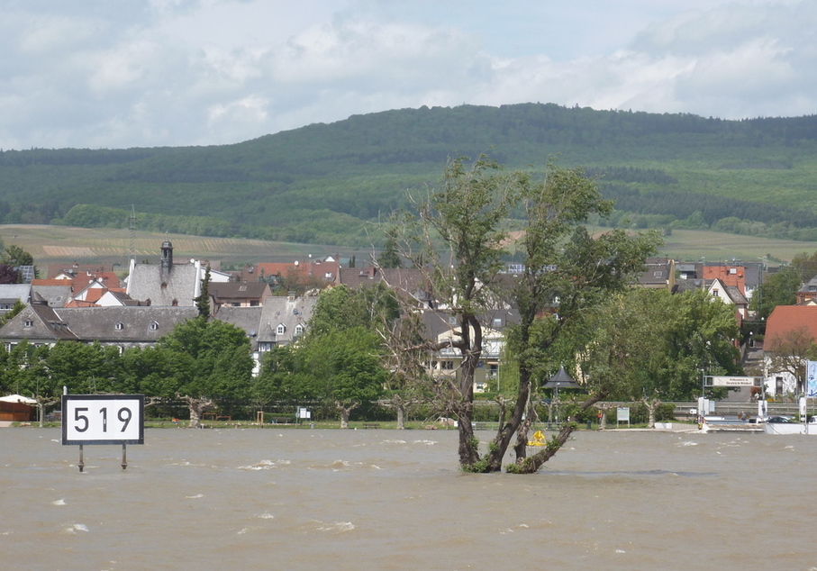 Rheingau 2015