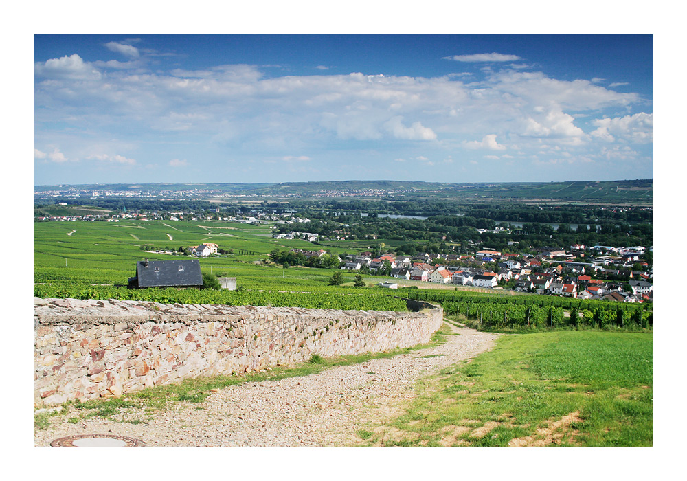 Rheingau [3]