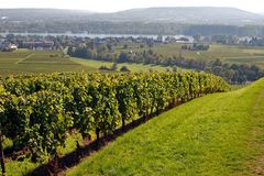 Rheingau