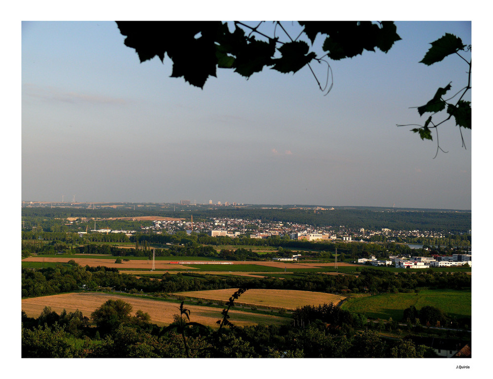 Rheingau