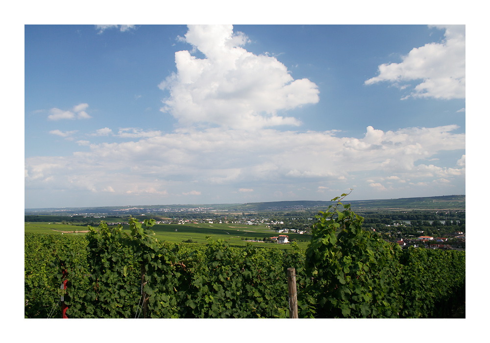 Rheingau [7]