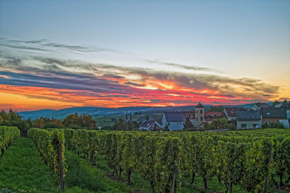 Rheingau