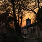 Rheingau - Abendhimmel über dem Eltviller Burgturm