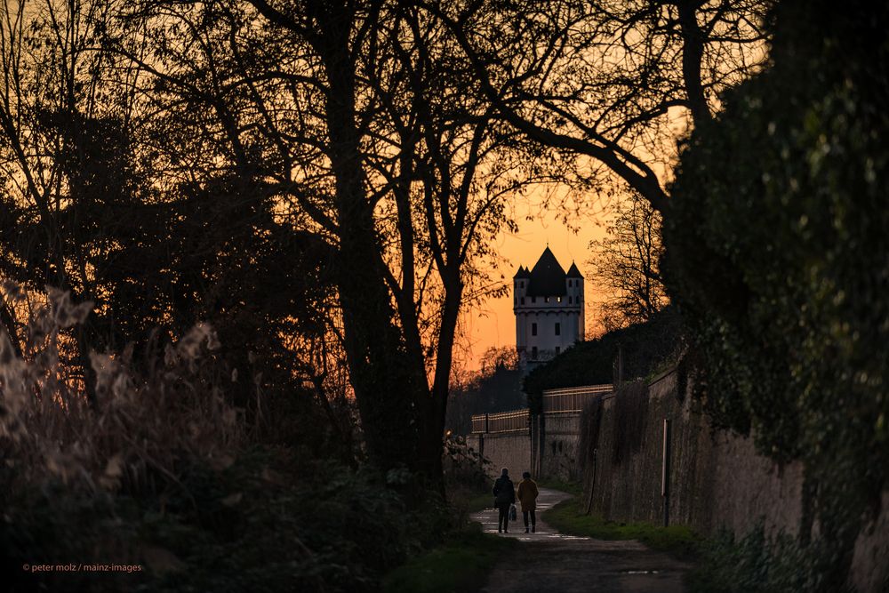 Rheingau - Abendhimmel über dem Eltviller Burgturm