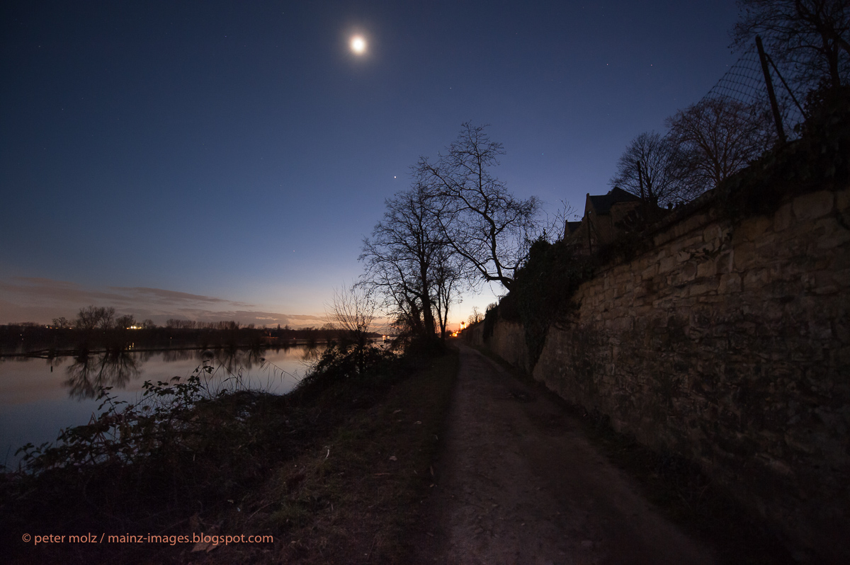 Rheingau - Abendstimmung am Rheinufer Leinpfad bei Eltville 