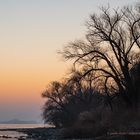 Rheingau - Abendstimmung am Rheinufer zwischen Niederwalluf und Eltville