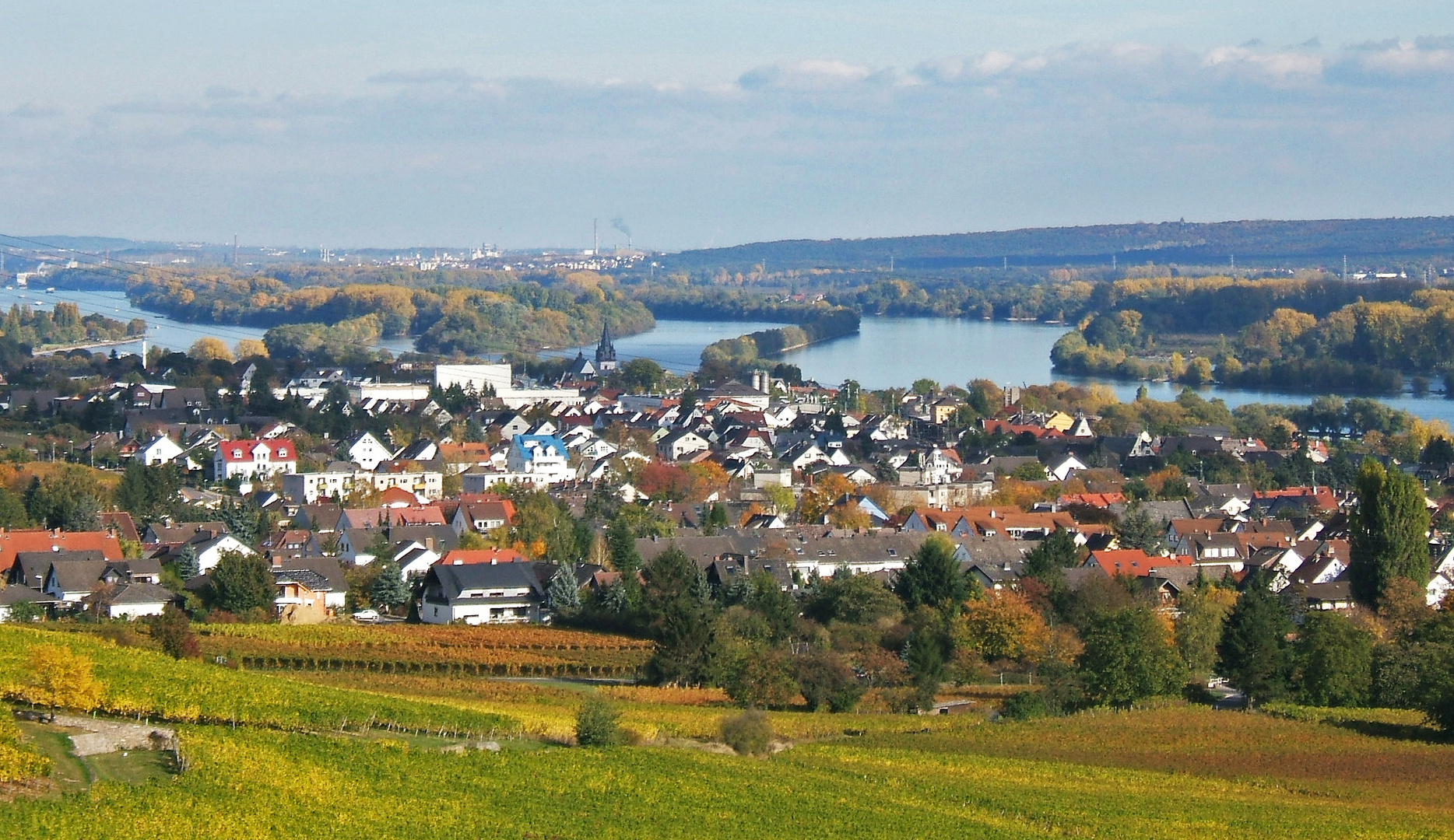 Rheingau bei Johannesberg