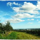 Rheingau Blick im September