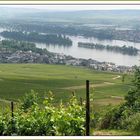 Rheingau grüßt  Rheinhessen