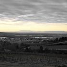 RHEINGAU I'M WINTER