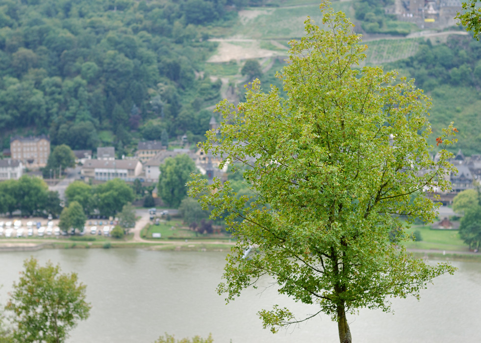 Rheingau - Landschaft im Kontrast - Bild 1