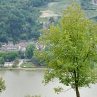 Rheingau - Landschaft im Kontrast - Bild 1