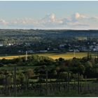 Rheingau Landschaft nach dem Gewitter