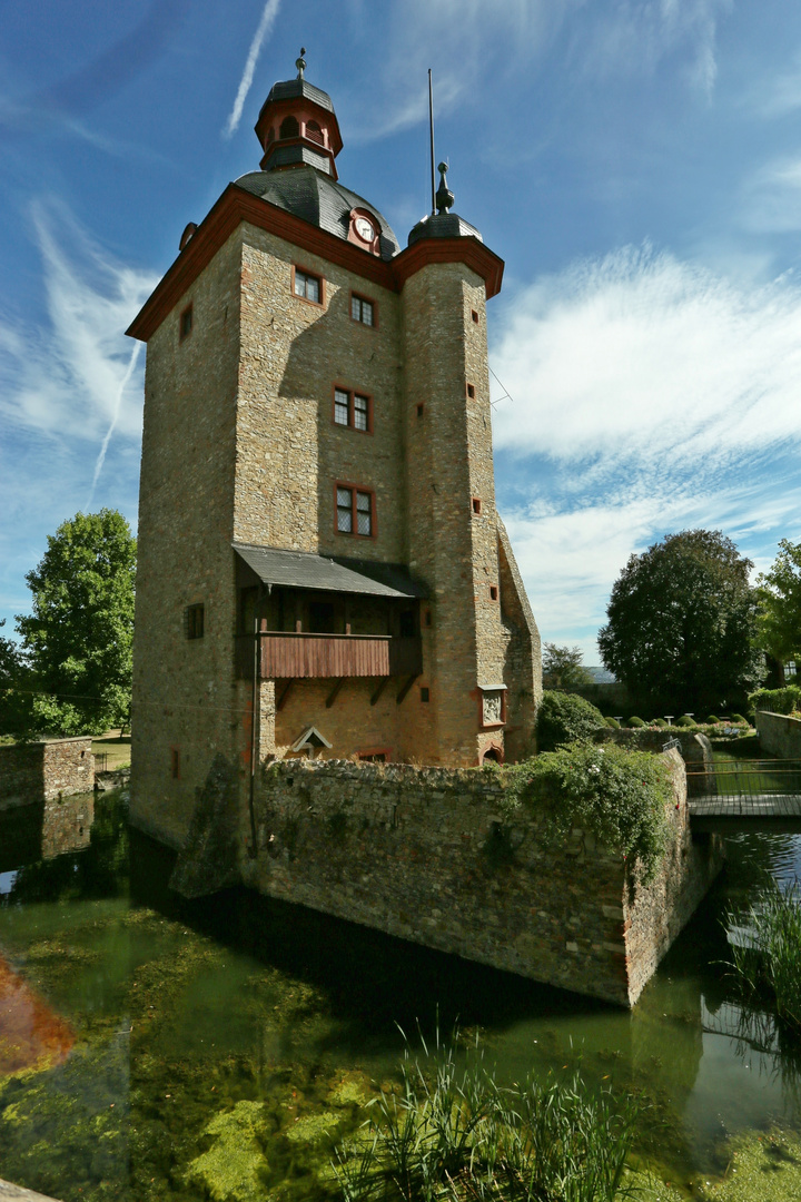  rheingau schloss vollrads