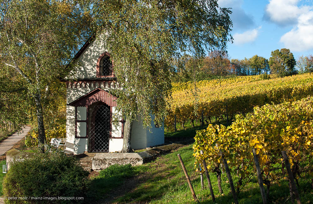 Rheingau - Schönhell im Herbst