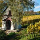 Rheingau - Schönhell im Herbst