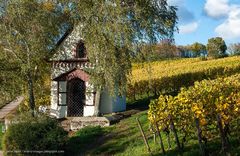 Rheingau - Schönhell im Herbst