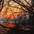 Rheingau - Sonnenuntergang im Februar über dem Rhein bei Eltville