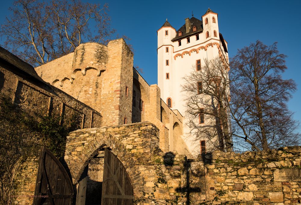 Rheingau - Sonniger Januartag in Eltville