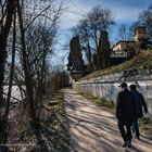 Rheingau - Spaziergänger auf dem Leinpfad