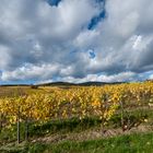 Rheingau - Wolken und Wingerte (III)