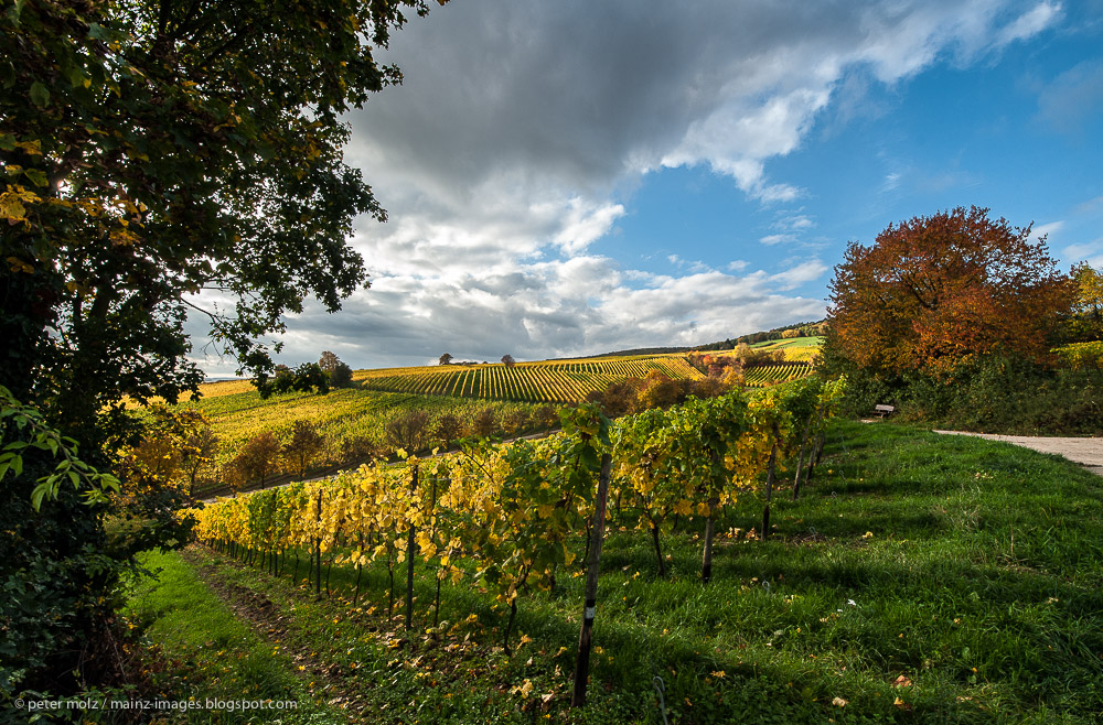 Rheingau - Wolken und Wingerte im Herbst 2013 (I)