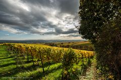 Rheingau - Wolken und Wingerte im Herbst 2013 (II)