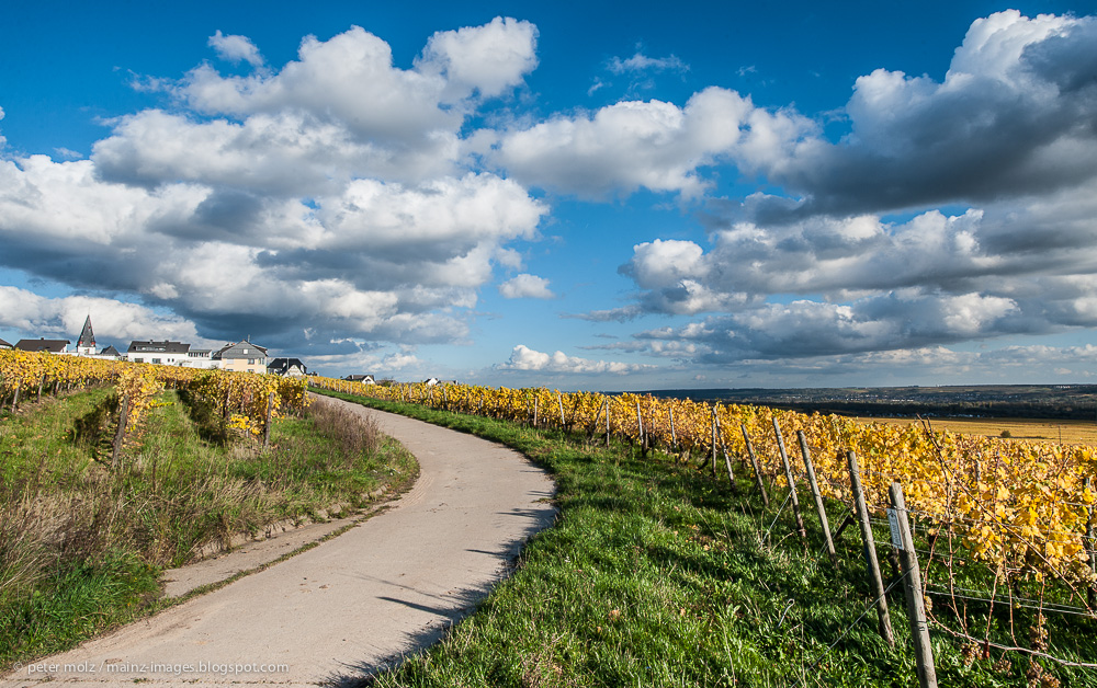 Rheingau - Wolken und Wingerte (VII)