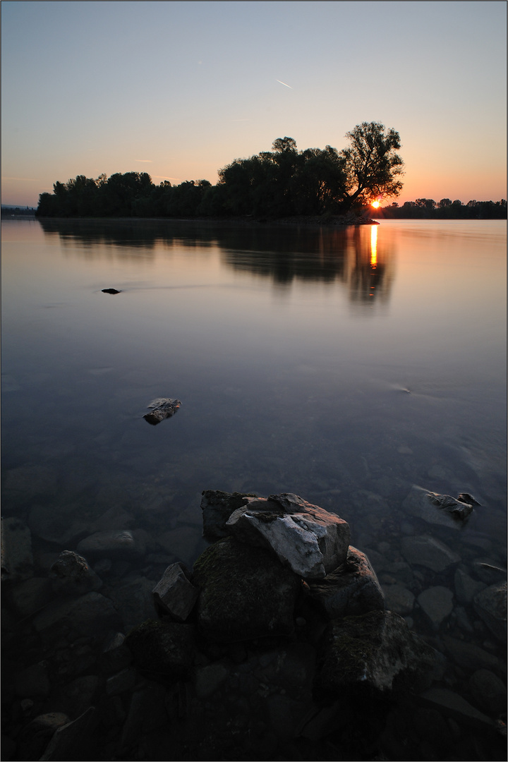 Rheingauer Sonnenaufgang