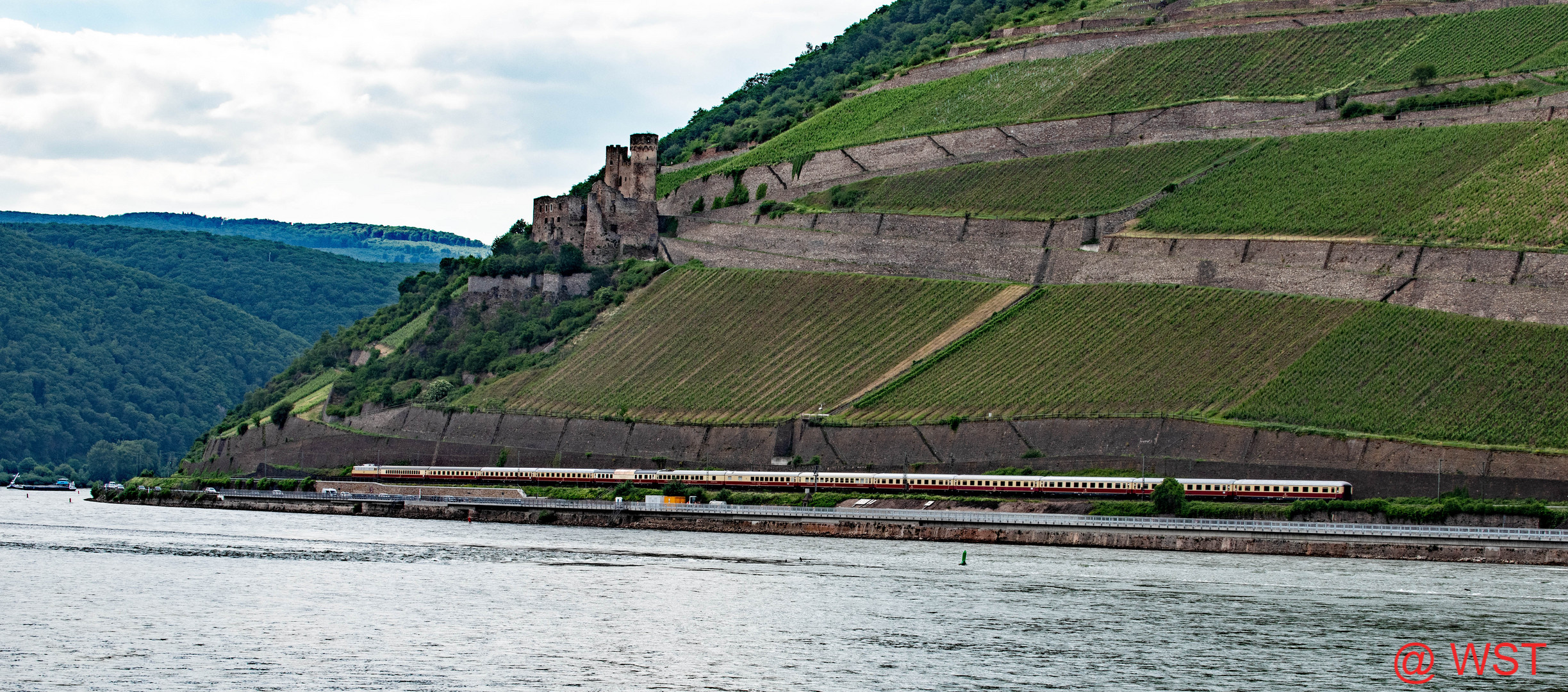 Rheingold am Rhein