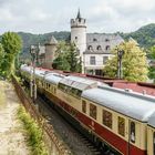 Rheingold an der Mosel I