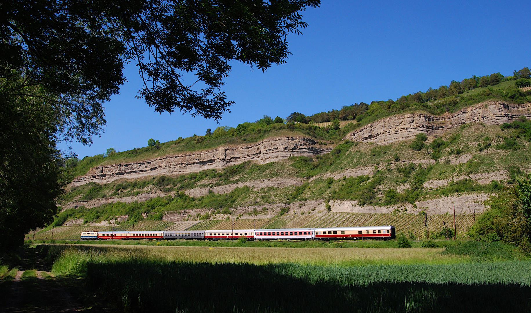 Rheingold im Maintal