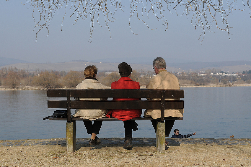 Rheingucker in Heidefahrt