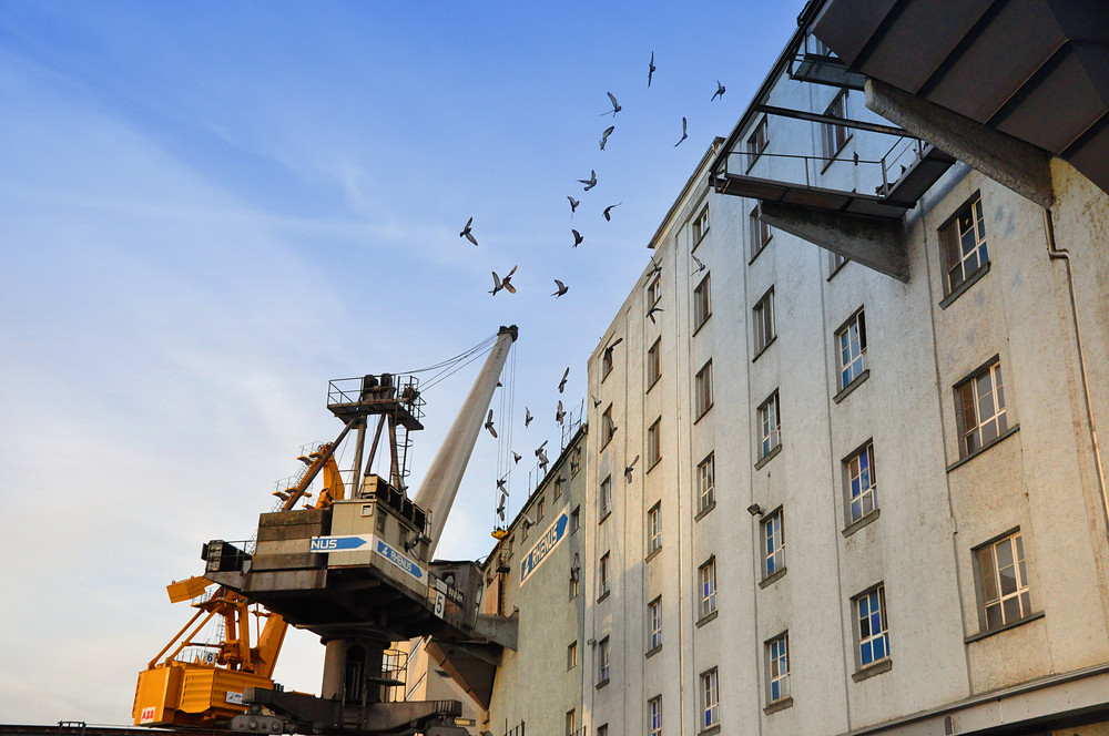 Rheinhafen Basel