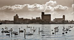 Rheinhafen Basel - Kleinhüningen