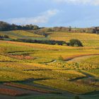 Rheinhessen