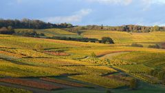 Rheinhessen