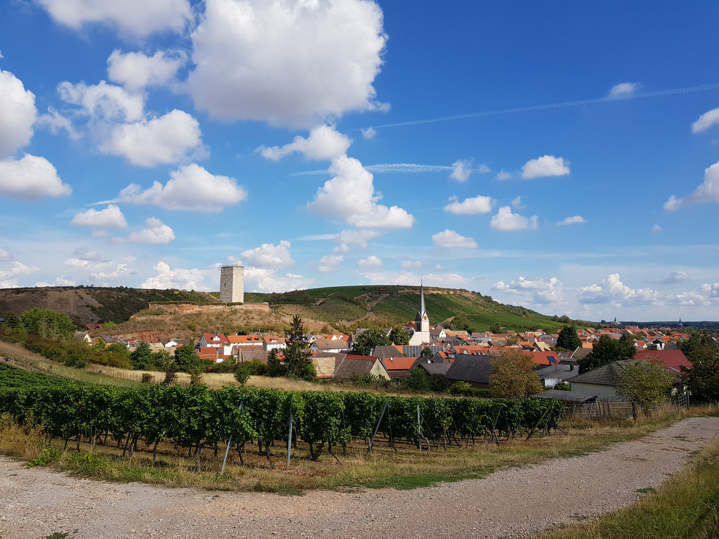 Rheinhessen 1