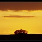 Rheinhessen 18:21h - Heute