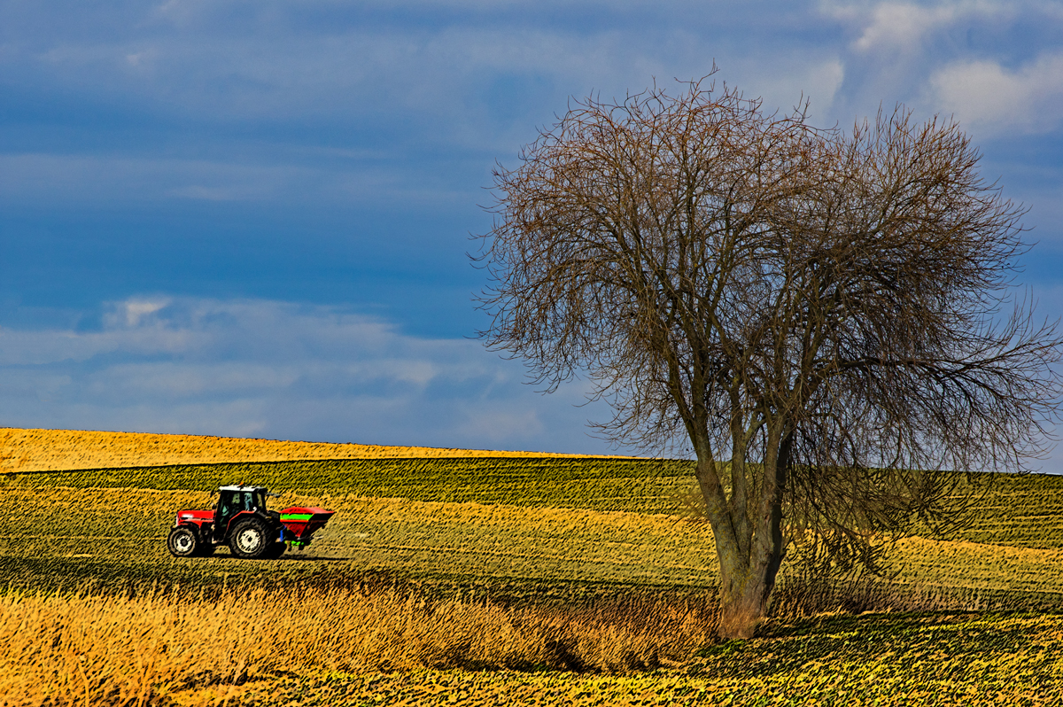 Rheinhessen-2017