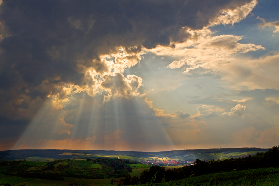 Rheinhessen