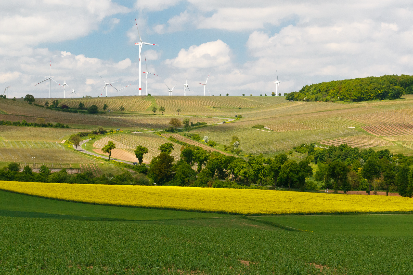 Rheinhessen.