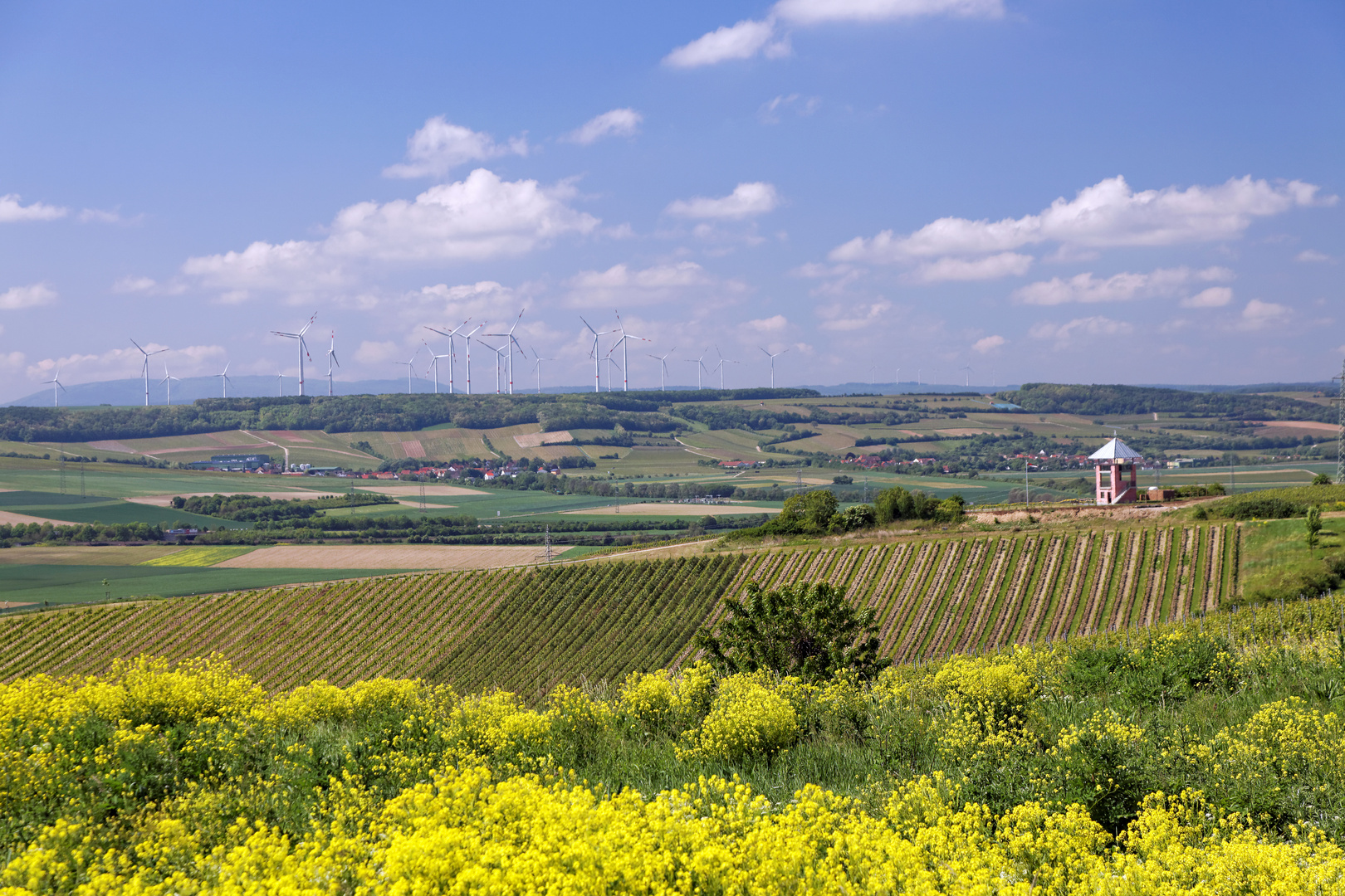 Rheinhessen