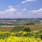 Rheinhessen