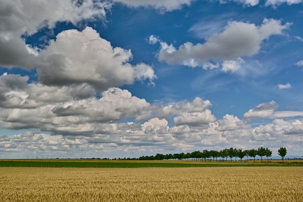 Rheinhessen