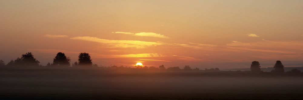 Rheinhessen erwacht