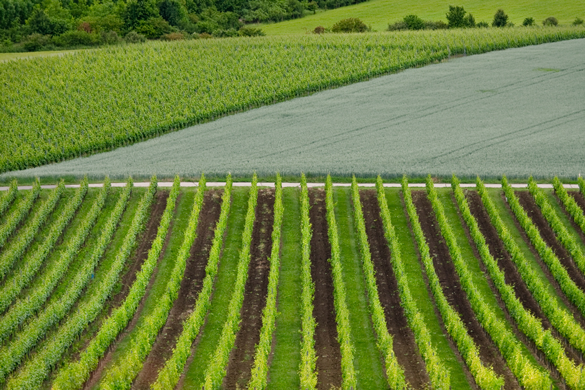 Rheinhessen - Geometrie