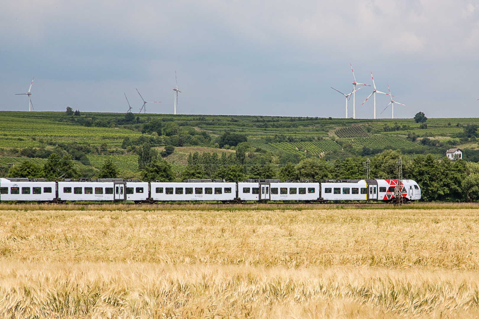 Rheinhessen I