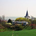 Rheinhessen-Idyll