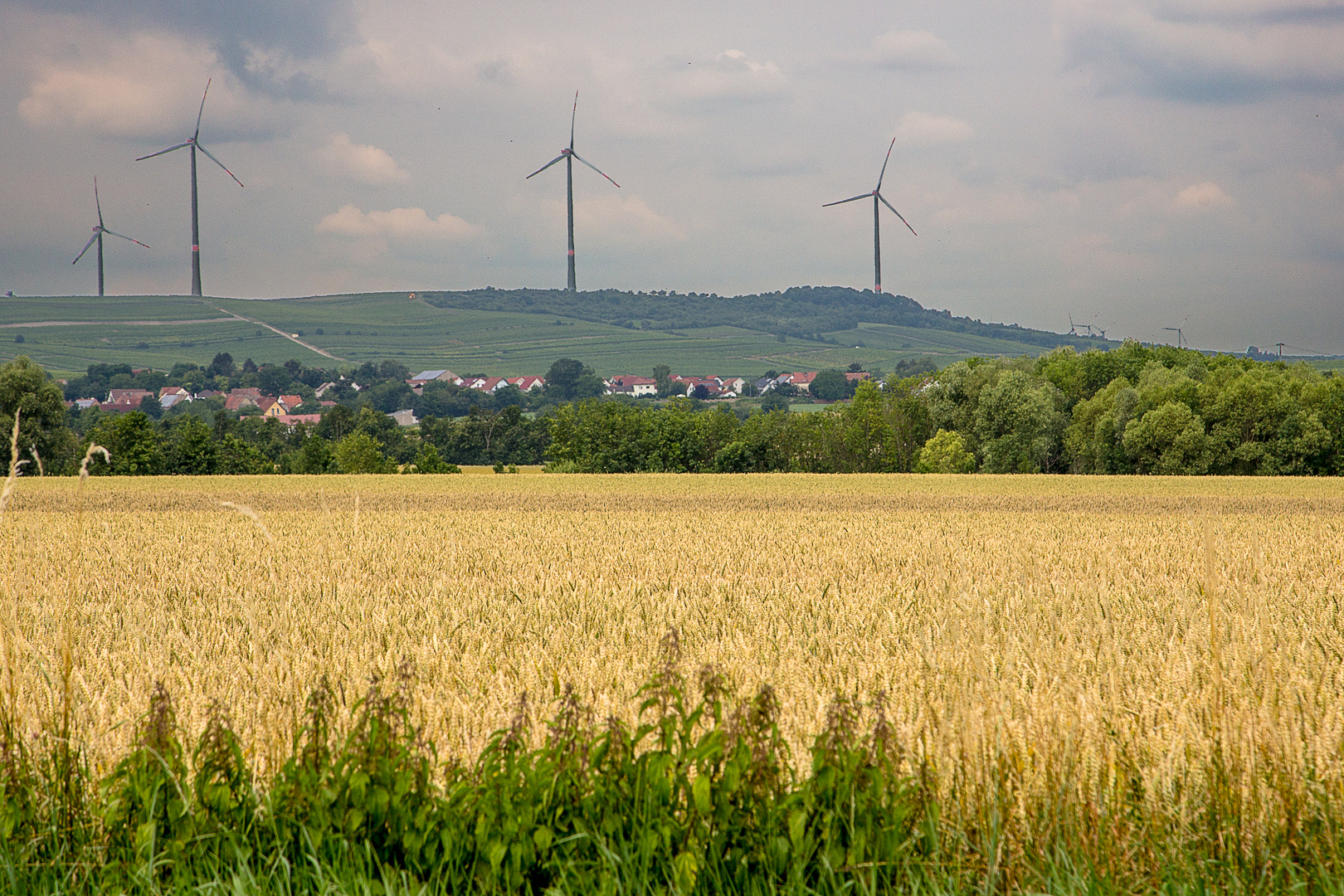 Rheinhessen III